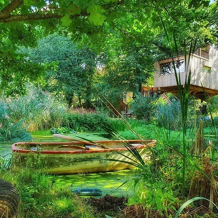 Bed & Breakfast Baumhaus Solitaer Borstel (Diepholz)