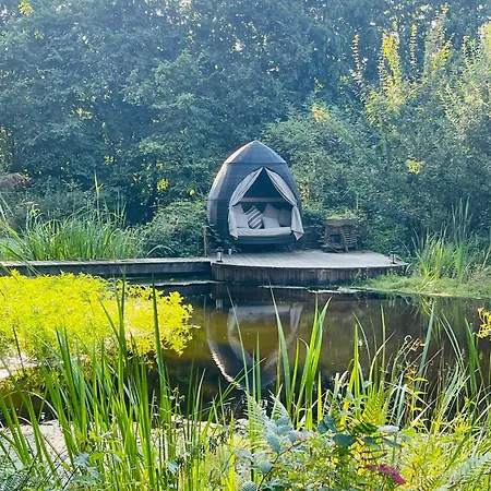 Baumhaus Solitaer * Borstel (Diepholz)