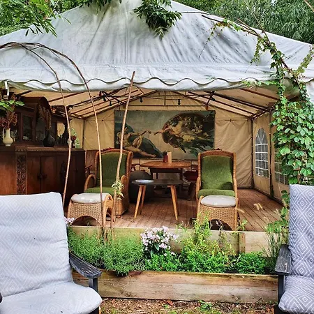 Baumhaus Solitaer Bed & Breakfast