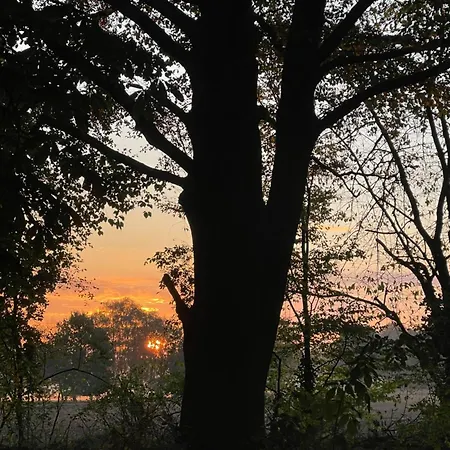 Baumhaus Solitaer Bed & Breakfast