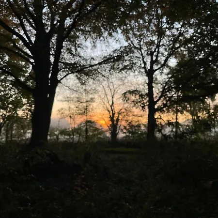 Baumhaus Solitaer Bed & Breakfast *