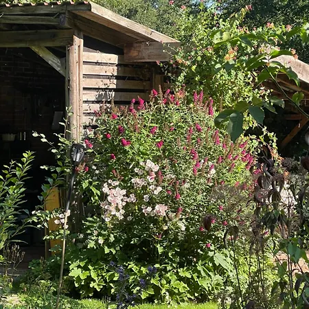 Bed & Breakfast Baumhaus Solitaer Borstel (Diepholz)