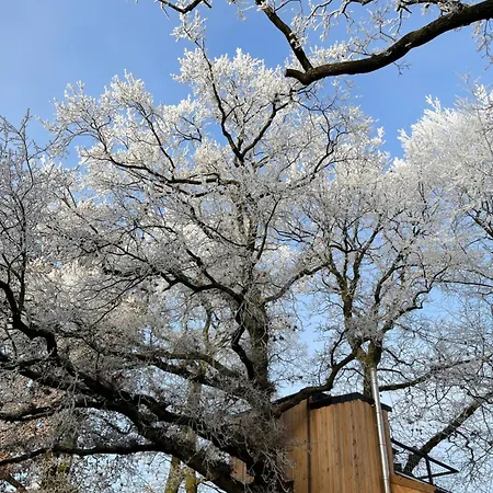 Baumhaus Solitaer Borstel (Diepholz)