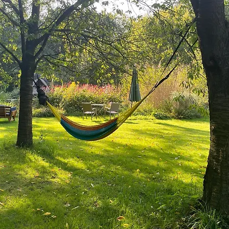 Bed & Breakfast Baumhaus Solitaer Borstel (Diepholz)