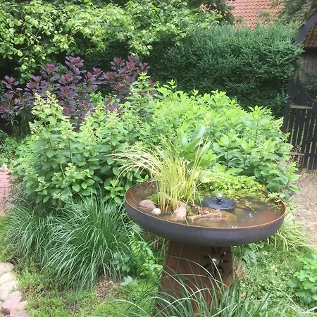 Bed & Breakfast Baumhaus Solitaer *