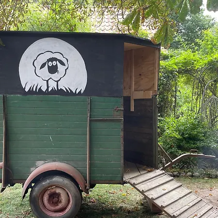 Baumhaus Solitaer Bed & Breakfast