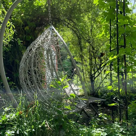 Baumhaus Solitaer Bed & Breakfast Borstel (Diepholz)