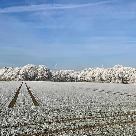 Baumhaus Solitaer Borstel (Diepholz)