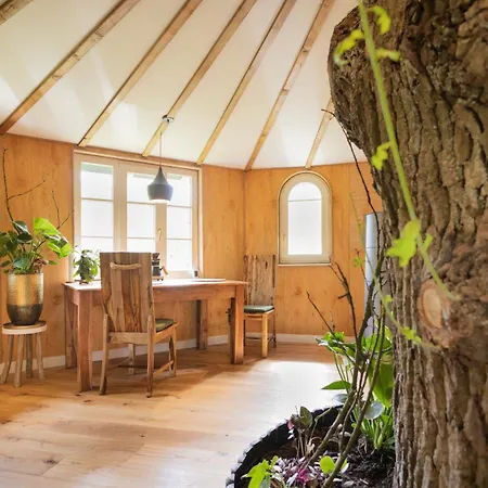 Baumhaus Solitaer Bed & Breakfast Borstel (Diepholz)