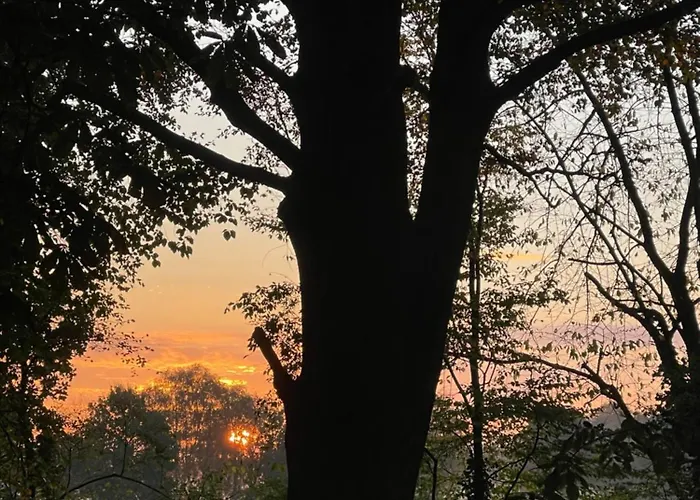 Baumhaus Solitaer Отель типа 