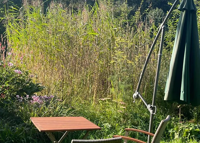 Baumhaus Solitaer Отель типа 