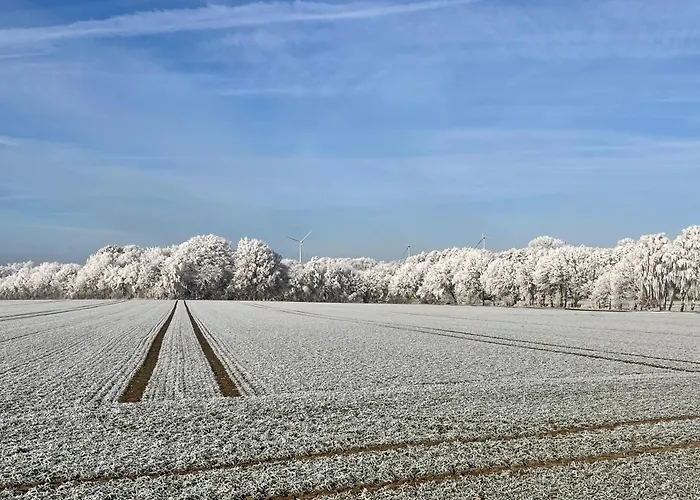 Baumhaus Solitaer Borstel (Diepholz)