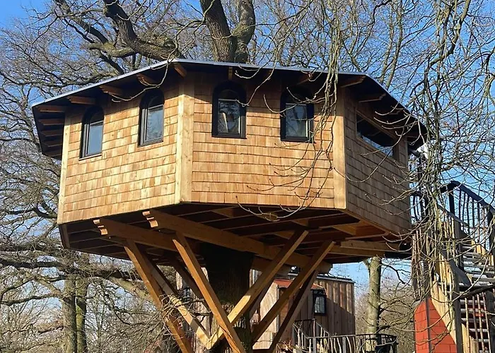 Baumhaus Solitaer Borstel (Diepholz)