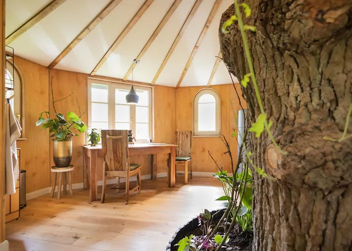 Baumhaus Solitaer Отель типа 